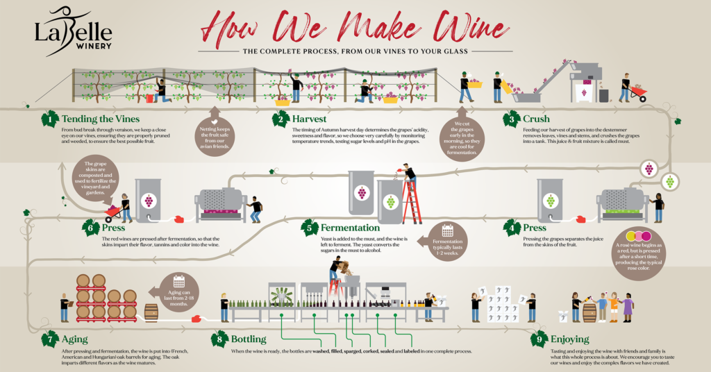 Winemaking Infographic